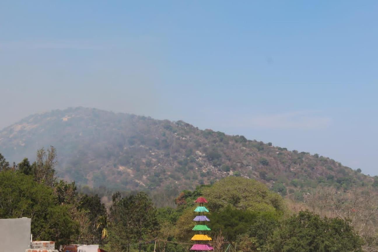 Olive Hills Yelagiri - Families Only - Full Duplex House - Yelagiri 빌라 외부 사진